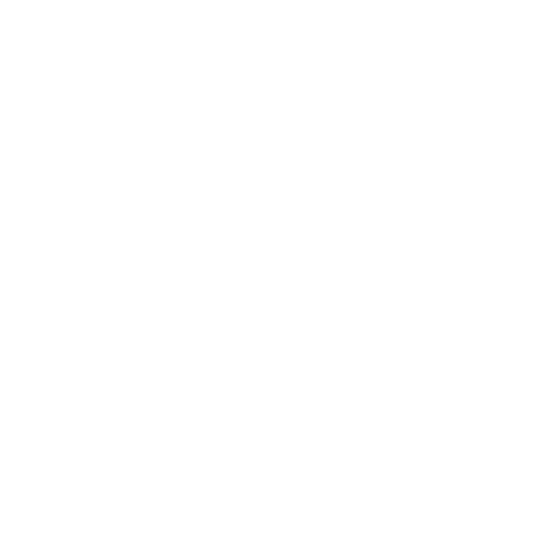 Cybernet